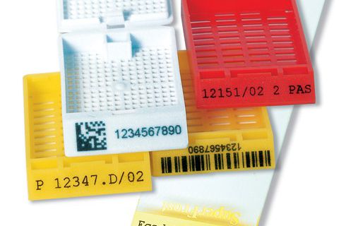 1592549844526262.jpg 002.jpg