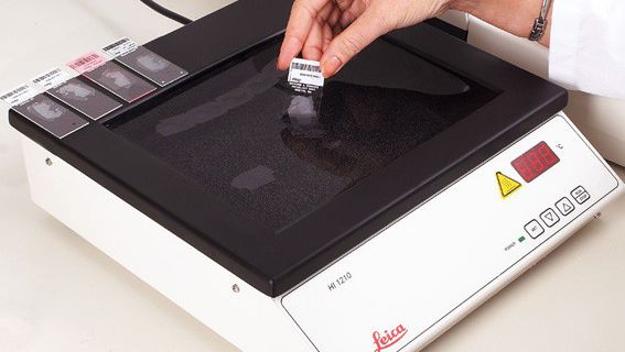 1593584251845140.jpg 001.jpg